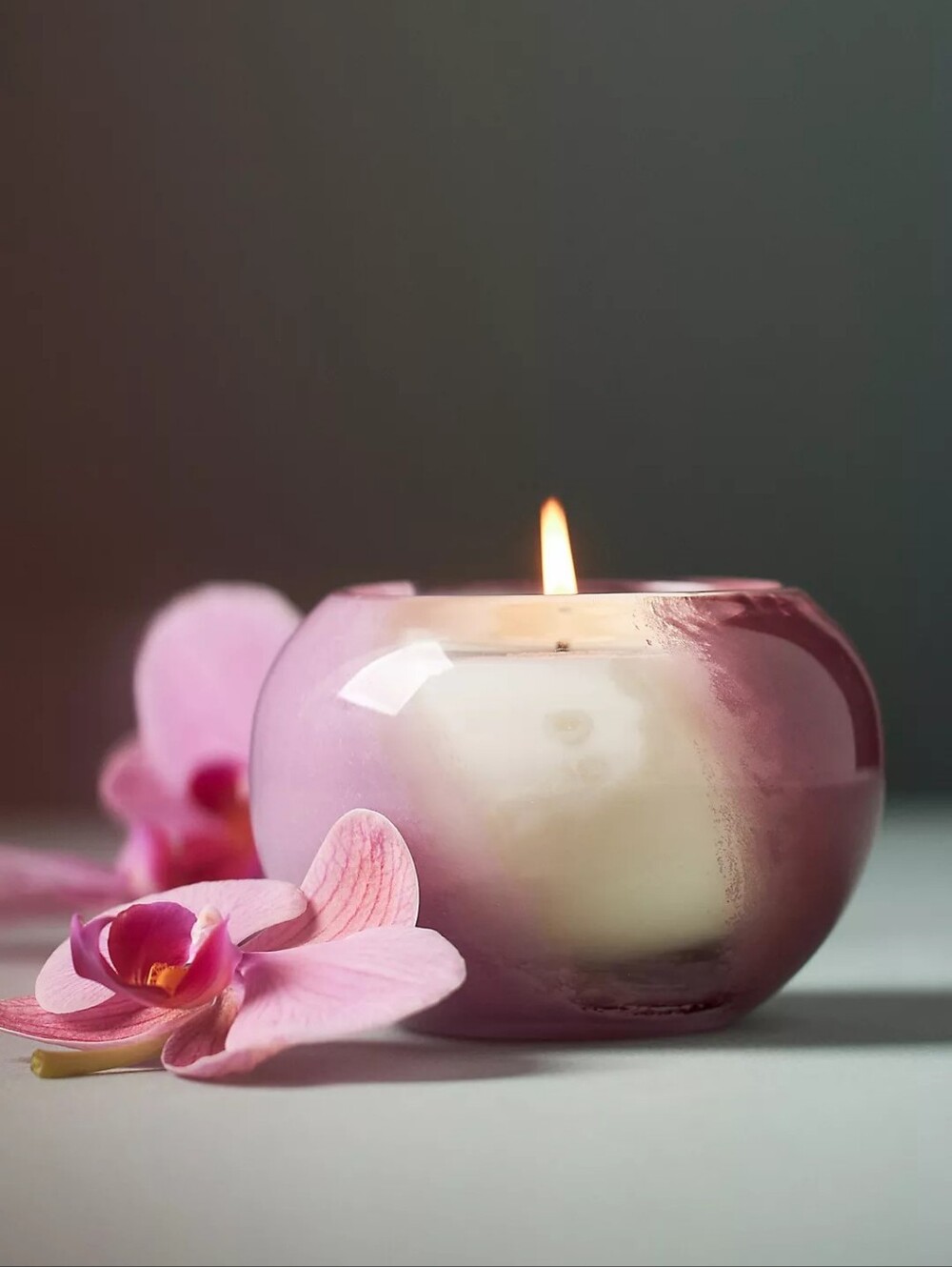 Anthropologie The Loved Woody Salted Moss & Lavender Glass Candle